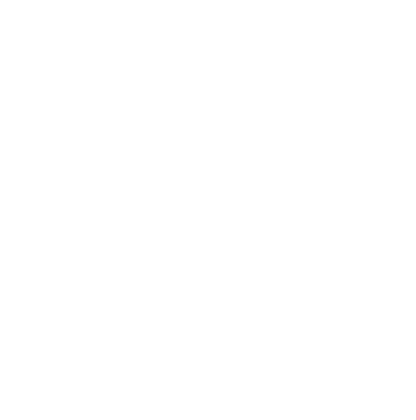 dm logo